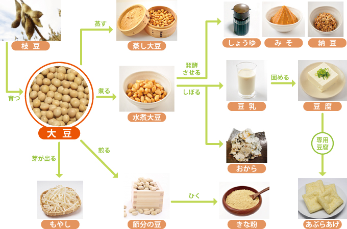 大豆食品の加工方法